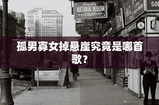 孤男寡女掉悬崖究竟是哪首歌？