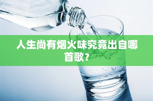 人生尚有烟火味究竟出自哪首歌？