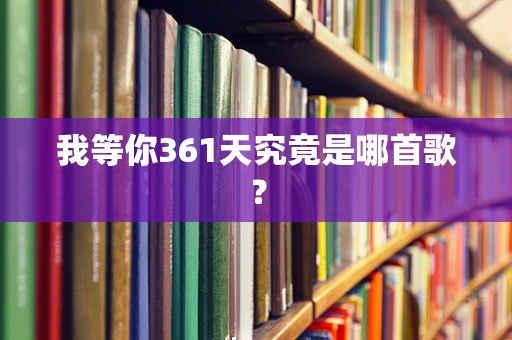 我等你361天究竟是哪首歌？