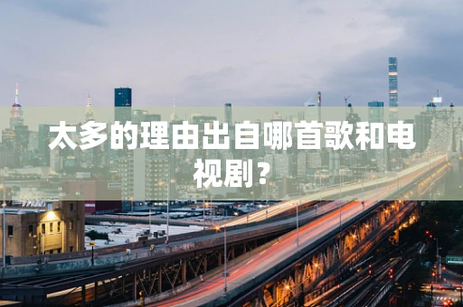 太多的理由出自哪首歌和电视剧？