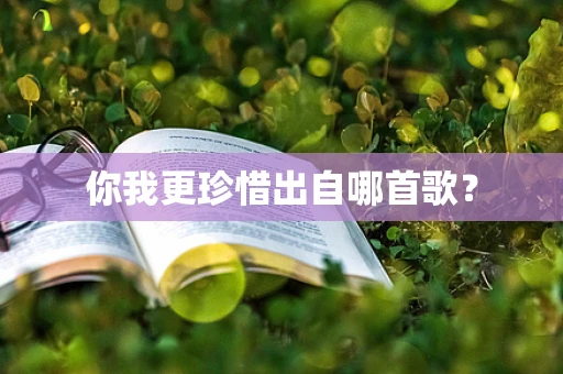 你我更珍惜出自哪首歌？