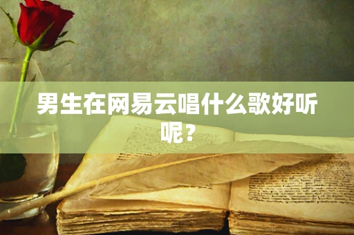男生在网易云唱什么歌好听呢？