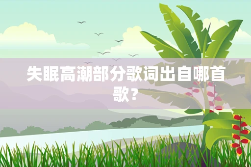 失眠高潮部分歌词出自哪首歌？