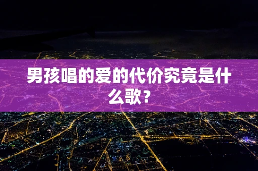 男孩唱的爱的代价究竟是什么歌？