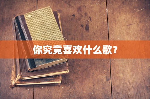 你究竟喜欢什么歌？