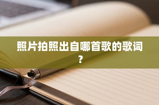 照片拍照出自哪首歌的歌词？