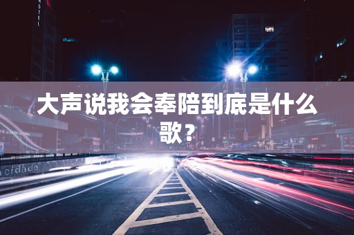 大声说我会奉陪到底是什么歌？