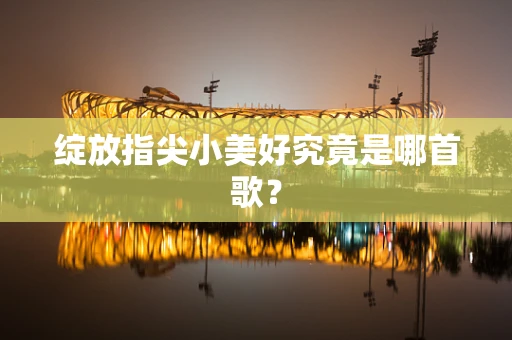 绽放指尖小美好究竟是哪首歌？