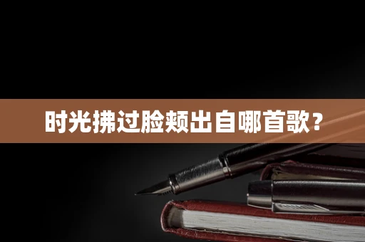 时光拂过脸颊出自哪首歌？