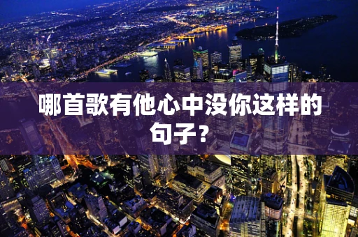 哪首歌有他心中没你这样的句子？