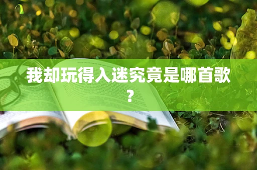 我却玩得入迷究竟是哪首歌？