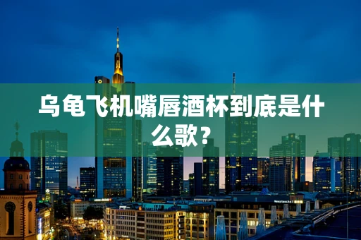 乌龟飞机嘴唇酒杯到底是什么歌？