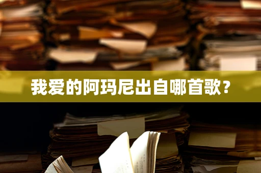 我爱的阿玛尼出自哪首歌？