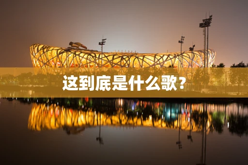 这到底是什么歌？