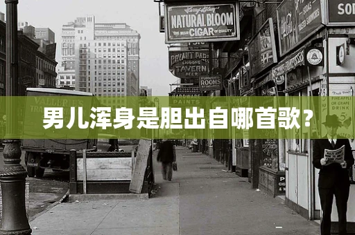 男儿浑身是胆出自哪首歌？