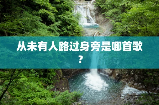 从未有人路过身旁是哪首歌？