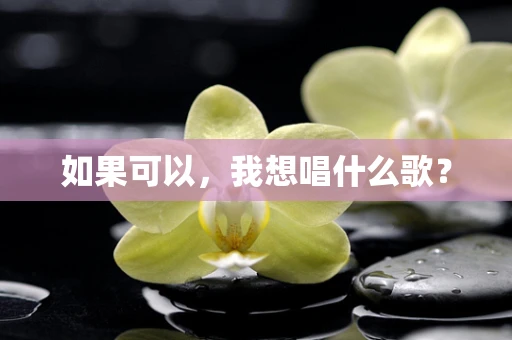 如果可以，我想唱什么歌？