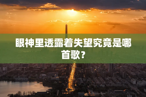 眼神里透露着失望究竟是哪首歌？