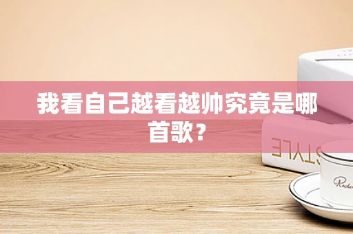 我看自己越看越帅究竟是哪首歌？