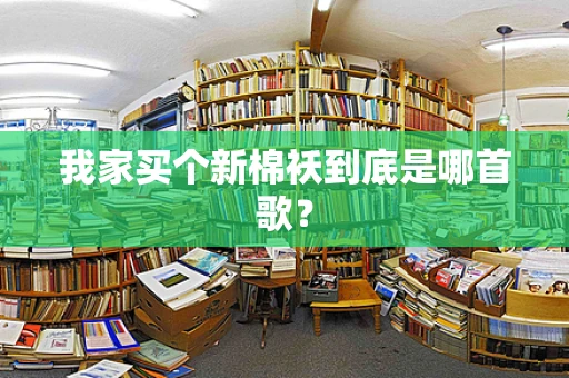 我家买个新棉袄到底是哪首歌？