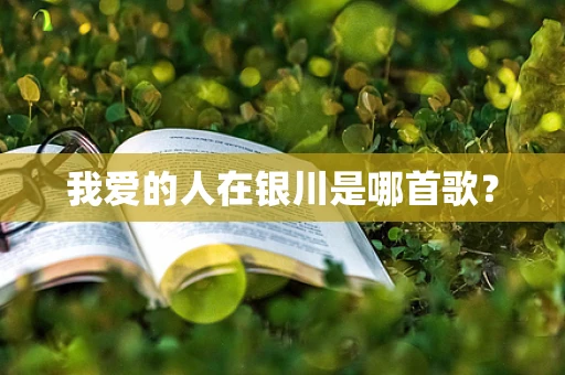 我爱的人在银川是哪首歌？