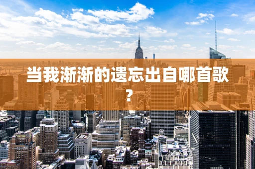 当我渐渐的遗忘出自哪首歌？