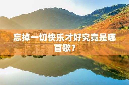 忘掉一切快乐才好究竟是哪首歌？