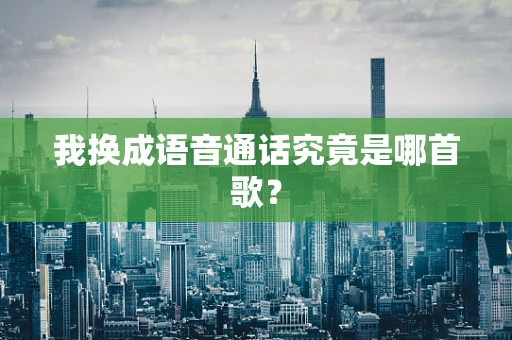 我换成语音通话究竟是哪首歌？