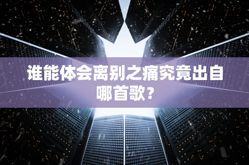 谁能体会离别之痛究竟出自哪首歌？