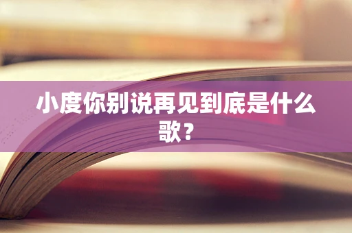 小度你别说再见到底是什么歌？