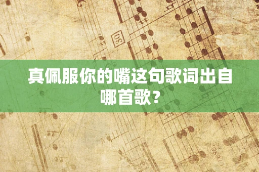 真佩服你的嘴这句歌词出自哪首歌？