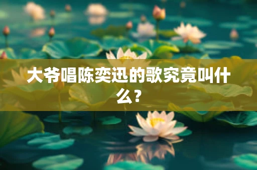 大爷唱陈奕迅的歌究竟叫什么？