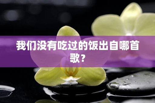 我们没有吃过的饭出自哪首歌？