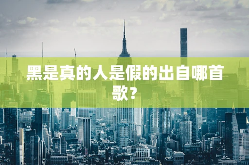 黑是真的人是假的出自哪首歌？