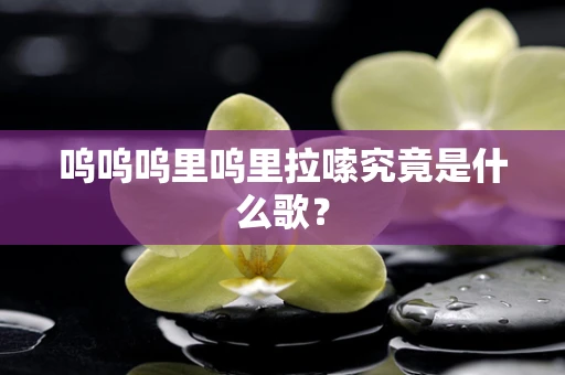 呜呜呜里呜里拉嗦究竟是什么歌？