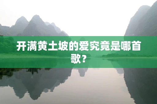 开满黄土坡的爱究竟是哪首歌？