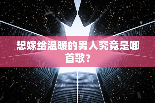 想嫁给温暖的男人究竟是哪首歌？