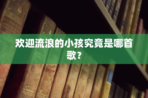 欢迎流浪的小孩究竟是哪首歌？