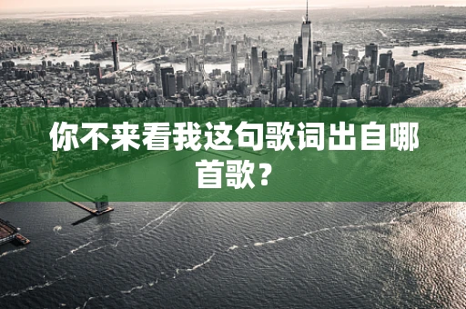 你不来看我这句歌词出自哪首歌？