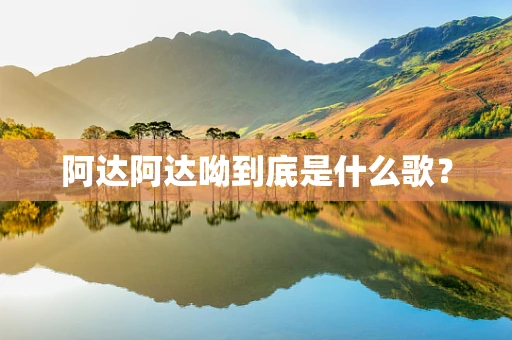 阿达阿达呦到底是什么歌？