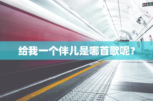 给我一个伴儿是哪首歌呢？