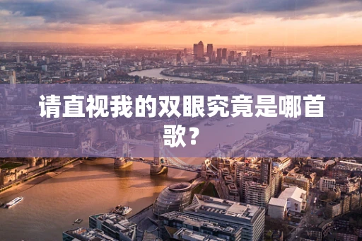 请直视我的双眼究竟是哪首歌？