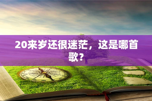 20来岁还很迷茫，这是哪首歌？