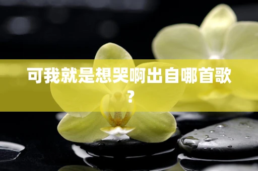 可我就是想哭啊出自哪首歌？