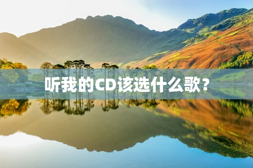 听我的CD该选什么歌？