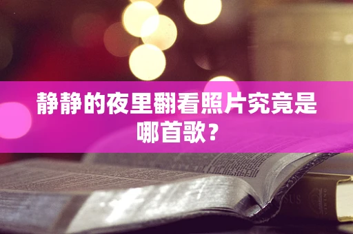 静静的夜里翻看照片究竟是哪首歌？