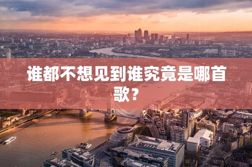 谁都不想见到谁究竟是哪首歌？