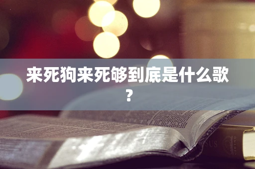 来死狗来死够到底是什么歌？
