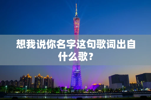 想我说你名字这句歌词出自什么歌？