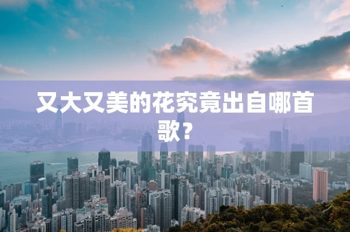 又大又美的花究竟出自哪首歌？